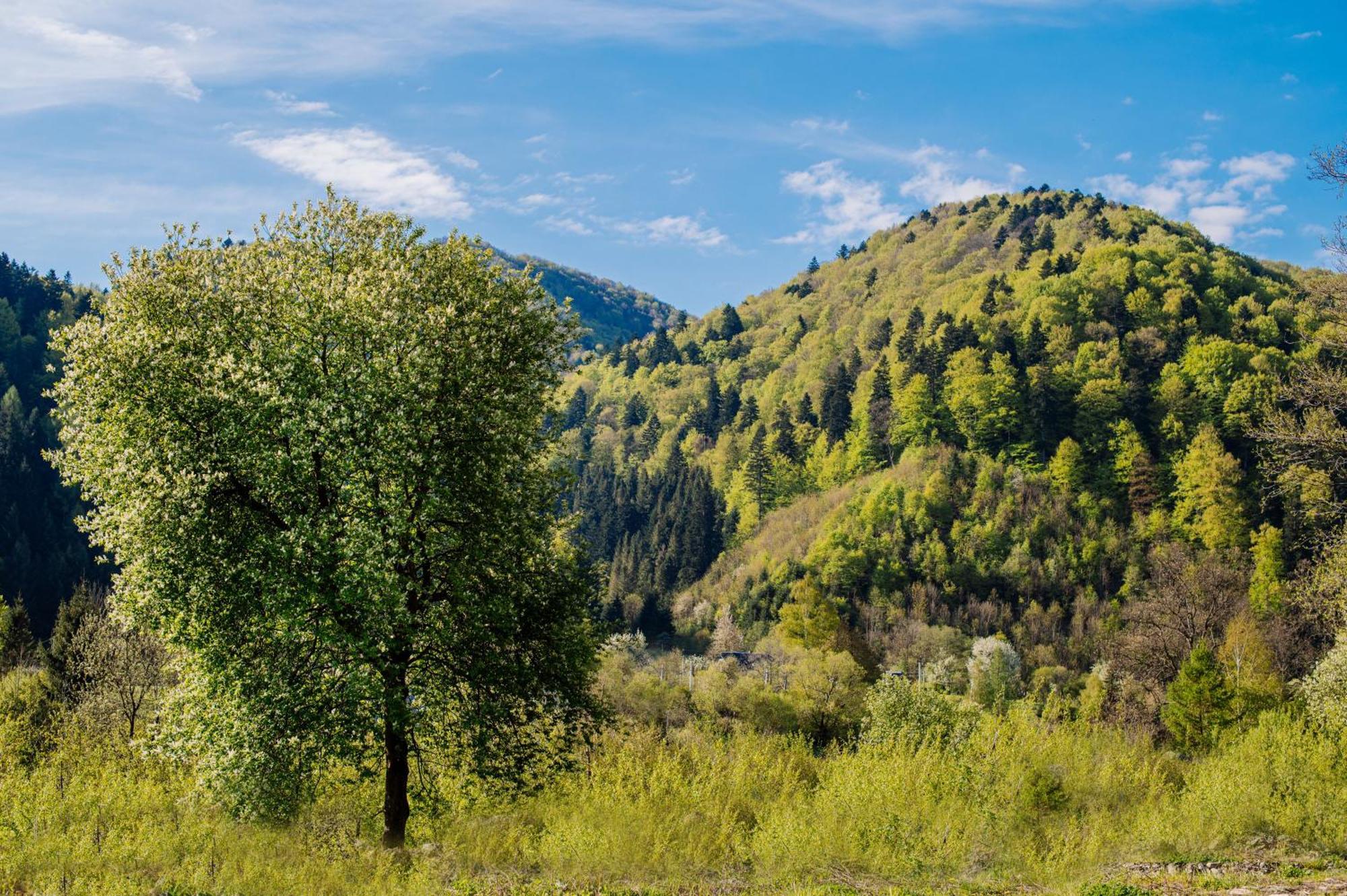 Рибничанка Hotel Skhidnytsia Ngoại thất bức ảnh